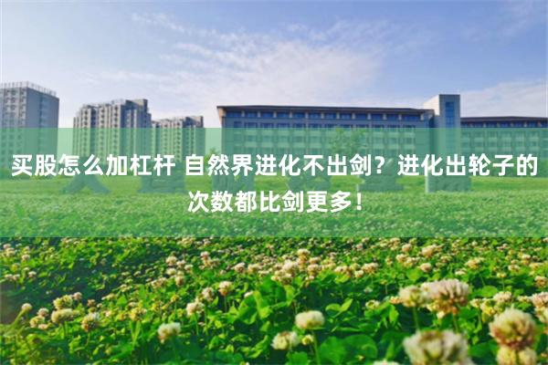 买股怎么加杠杆 自然界进化不出剑？进化出轮子的次数都比剑更多！