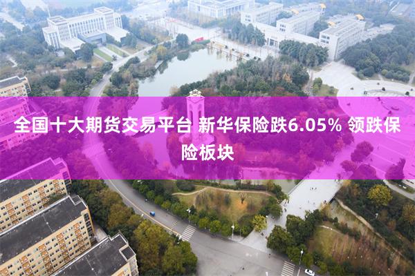 全国十大期货交易平台 新华保险跌6.05% 领跌保险板块