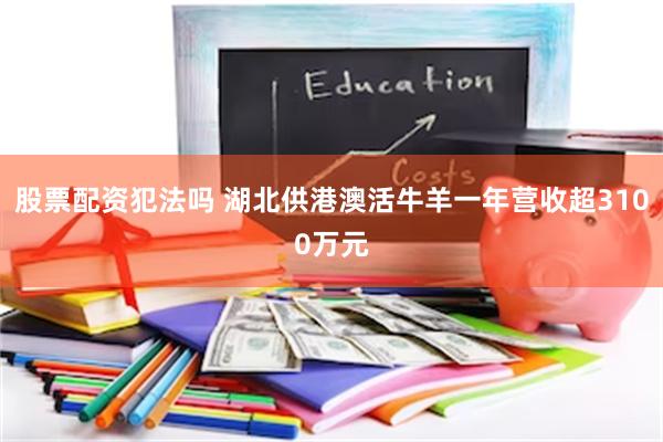 股票配资犯法吗 湖北供港澳活牛羊一年营收超3100万元