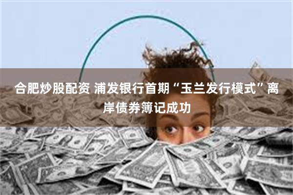 合肥炒股配资 浦发银行首期“玉兰发行模式”离岸债券簿记成功