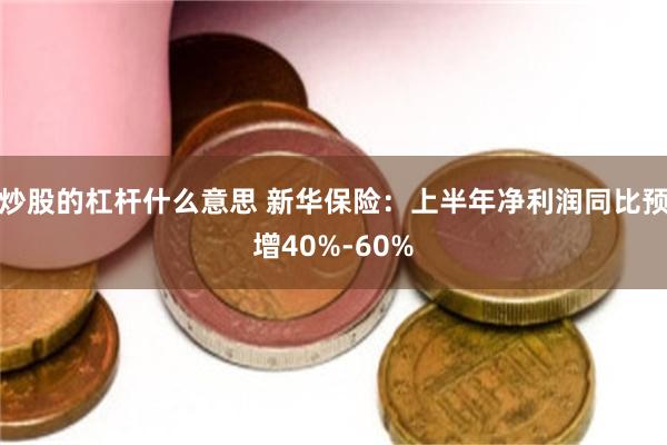 炒股的杠杆什么意思 新华保险：上半年净利润同比预增40%-60%