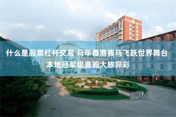 什么是股票杠杆交易 马年香港赛马飞跃世界舞台 本地冠军级赛驹大放异彩