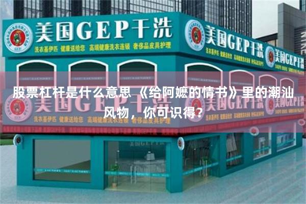 股票杠杆是什么意思 《给阿嬷的情书》里的潮汕风物，你可识得？