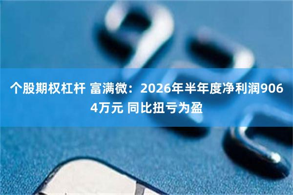 个股期权杠杆 富满微：2026年半年度净利润9064万元 同比扭亏为盈