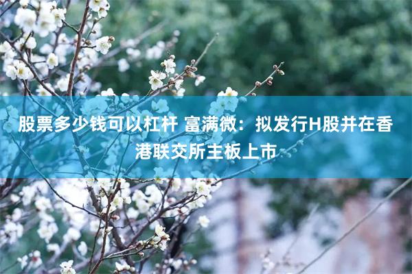 股票多少钱可以杠杆 富满微：拟发行H股并在香港联交所主板上市