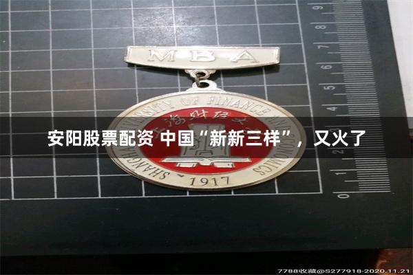 安阳股票配资 中国“新新三样”，又火了