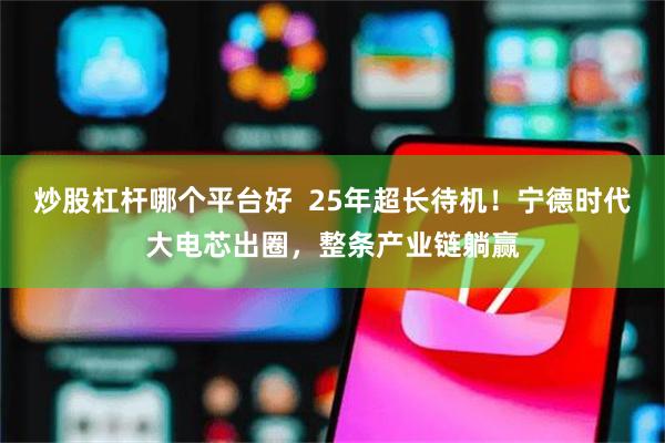 炒股杠杆哪个平台好  25年超长待机！宁德时代大电芯出圈，整条产业链躺赢