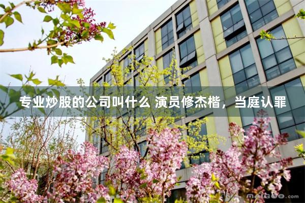 专业炒股的公司叫什么 演员修杰楷，当庭认罪