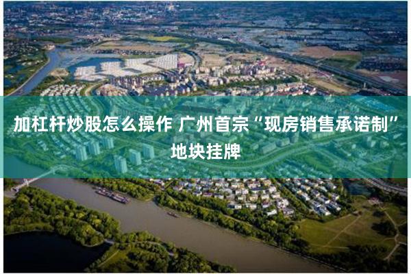 加杠杆炒股怎么操作 广州首宗“现房销售承诺制”地块挂牌