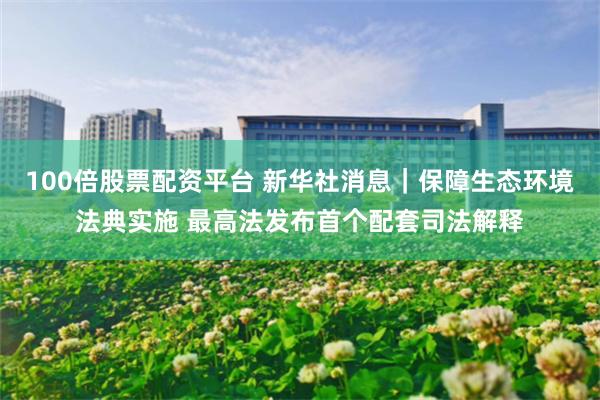 100倍股票配资平台 新华社消息｜保障生态环境法典实施 最高法发布首个配套司法解释
