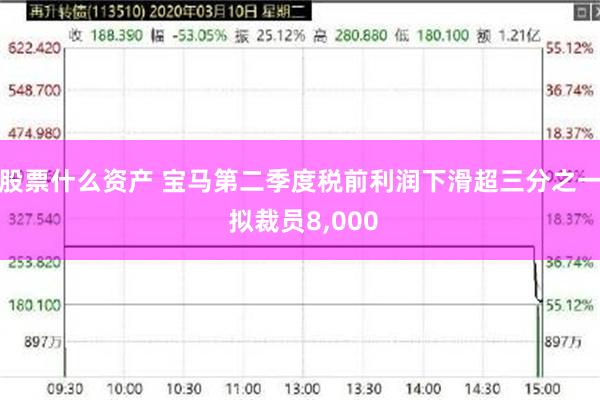 股票什么资产 宝马第二季度税前利润下滑超三分之一 拟裁员8,000