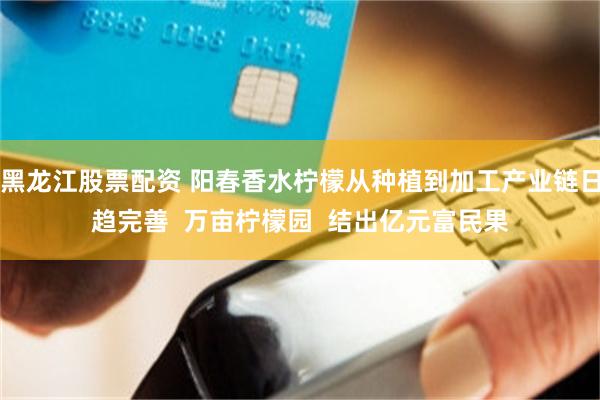 黑龙江股票配资 阳春香水柠檬从种植到加工产业链日趋完善  万亩柠檬园  结出亿元富民果