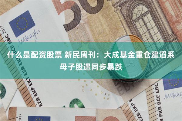 什么是配资股票 新民周刊：大成基金重仓建滔系母子股遇同步暴跌