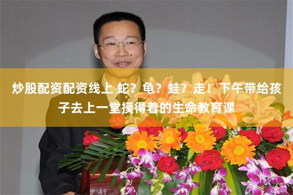 炒股配资配资线上 蛇？龟？蛙？走！下午带给孩子去上一堂摸得着的生命教育课