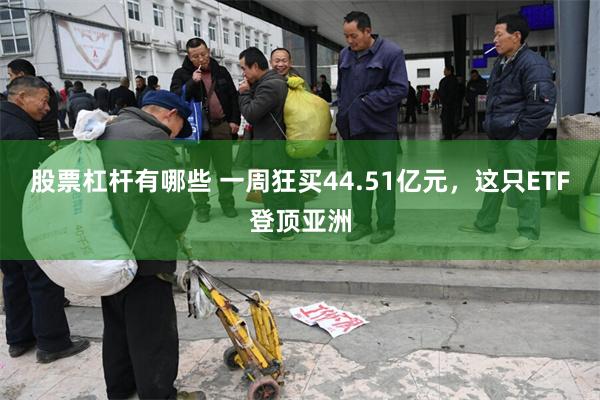 股票杠杆有哪些 一周狂买44.51亿元，这只ETF登顶亚洲