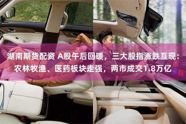 湖南期货配资 A股午后回暖，三大股指涨跌互现：农林牧渔、医药板块走强，两市成交1.8万亿