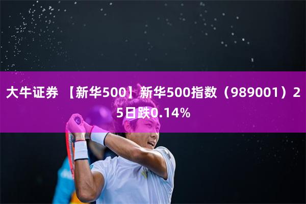 大牛证券 【新华500】新华500指数（989001）25日跌0.14%