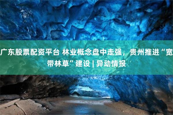 广东股票配资平台 林业概念盘中走强，贵州推进“宽带林草”建设 | 异动情报