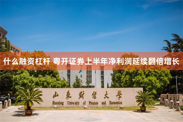 什么融资杠杆 粤开证券上半年净利润延续翻倍增长