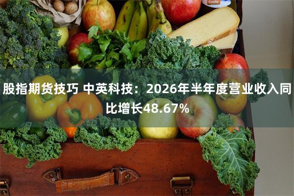 股指期货技巧 中英科技：2026年半年度营业收入同比增长48.67%