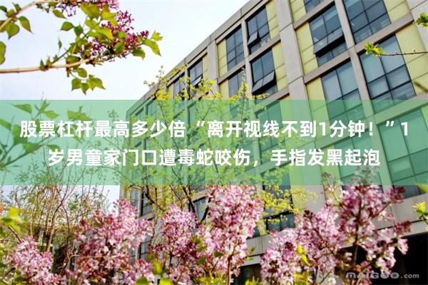 股票杠杆最高多少倍 “离开视线不到1分钟！”1岁男童家门口遭毒蛇咬伤，手指发黑起泡