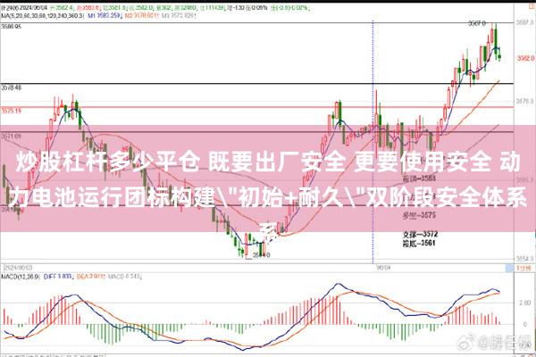 炒股杠杆多少平仓 既要出厂安全 更要使用安全 动力电池运行团标构建
