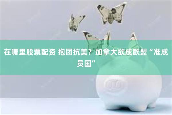 在哪里股票配资 抱团抗美?加拿大欲成欧盟“准成员国”