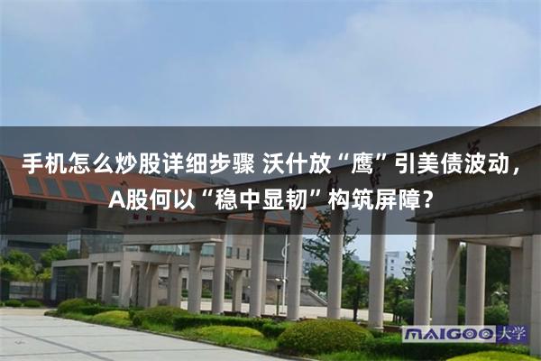 手机怎么炒股详细步骤 沃什放“鹰”引美债波动，A股何以“稳中显韧”构筑屏障？